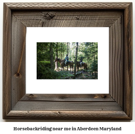 horseback riding near me in Aberdeen, Maryland